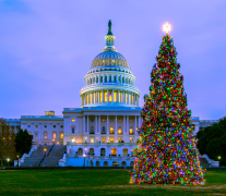 albero-di-natale 33 lista